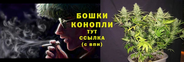 экстази Бородино