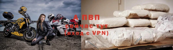 экстази Богданович