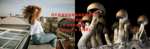 прущая мука Богородицк