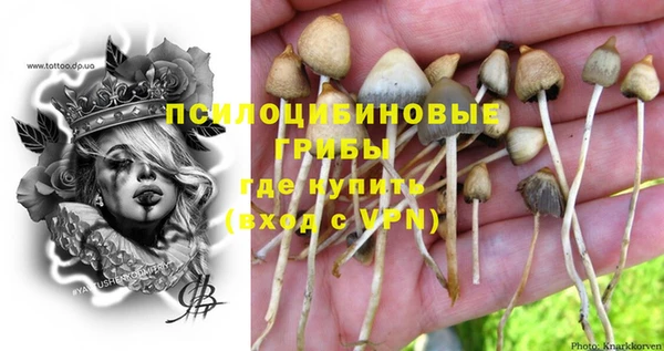 ECSTASY Бугульма