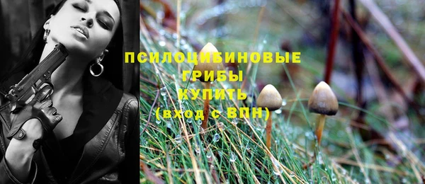 прущая мука Богородицк