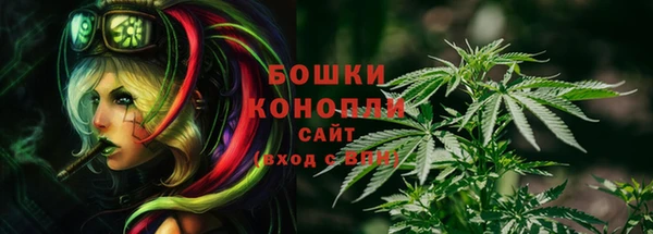 экстази Богданович