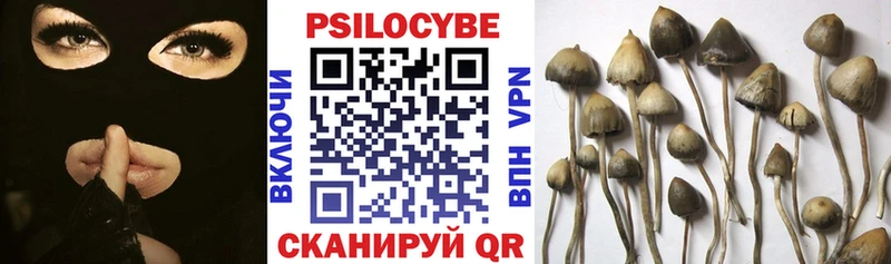 Галлюциногенные грибы Psilocybe  Медынь 